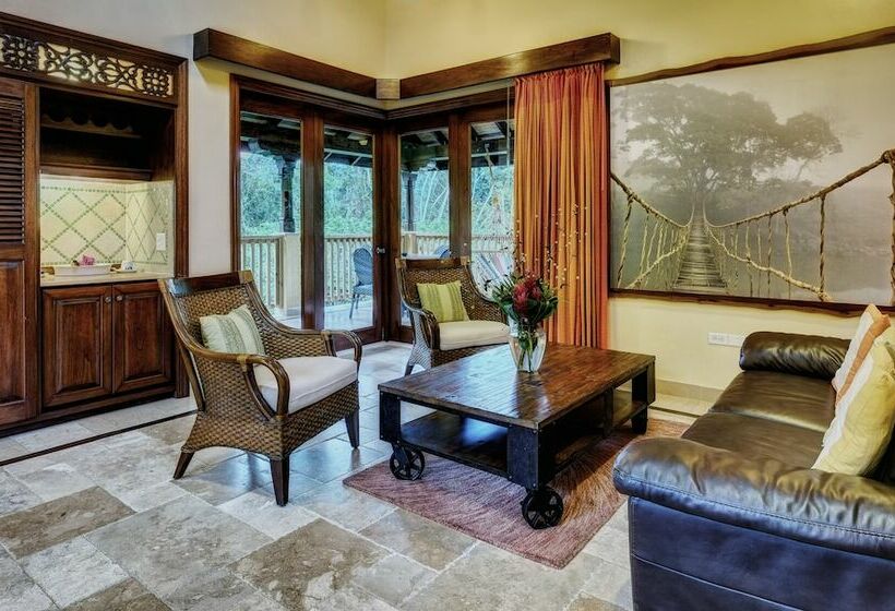 اتاق استاندارد, Sleeping Giant Rainforest Lodge