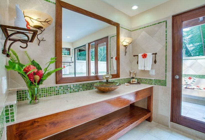 اتاق استاندارد, Sleeping Giant Rainforest Lodge