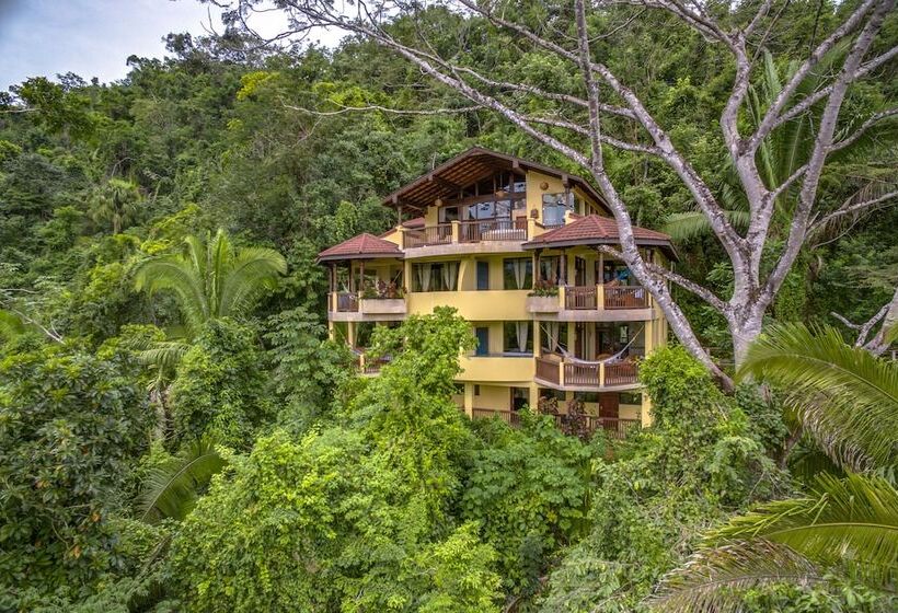 سوییت با چشم‌انداز کوه, Sleeping Giant Rainforest Lodge