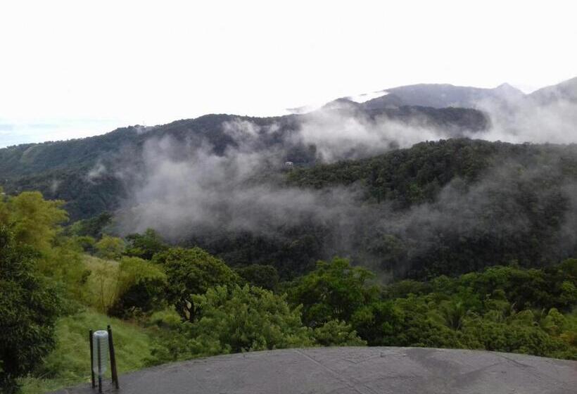 스탠다드 룸 산 전망, Matthew S Miracle View