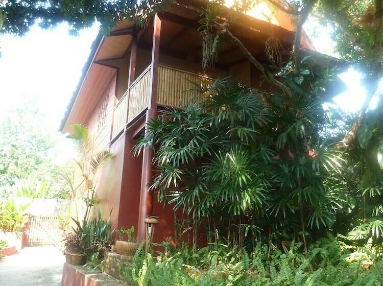 بانگلوی استاندارد, Old Tree S House