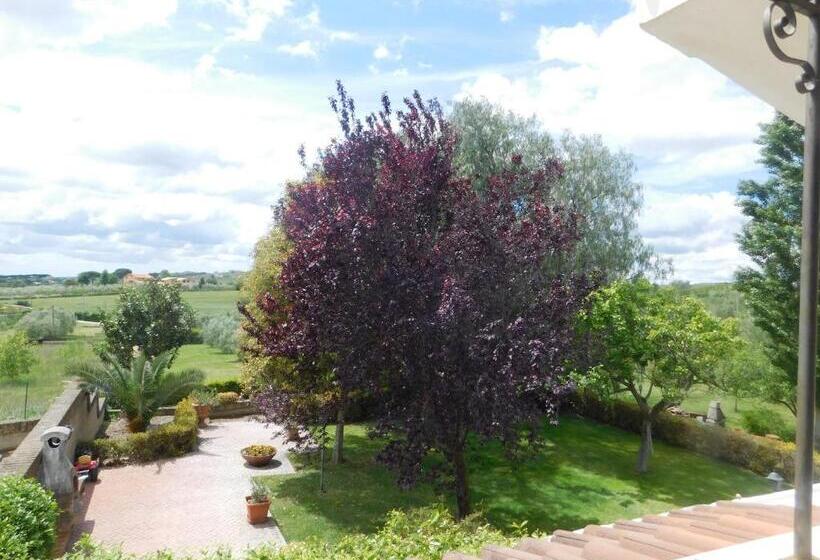 Люкс, L Albero Del Pepe