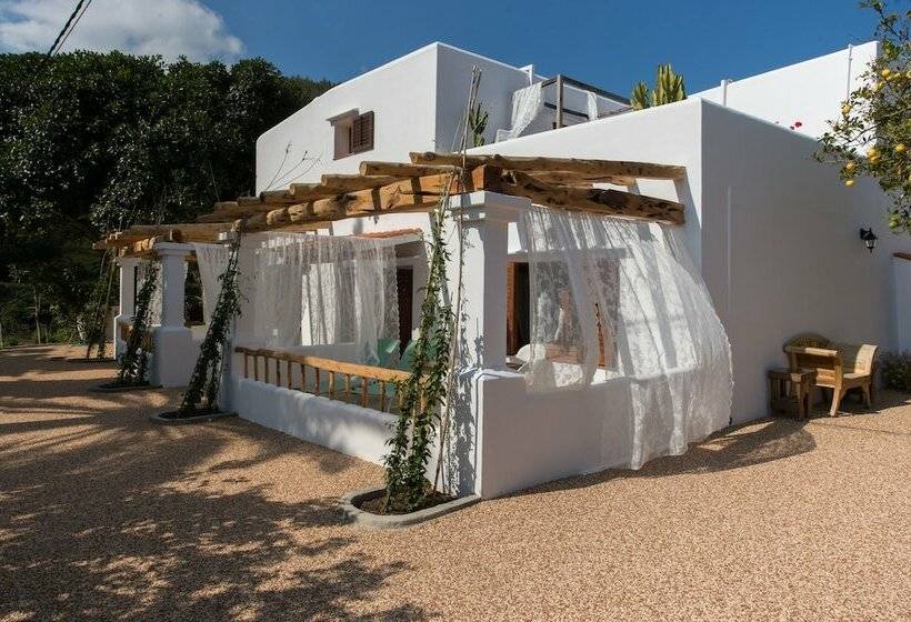 اتاق سوپریور, Valley Club Ibiza   Boutique Agroturismo