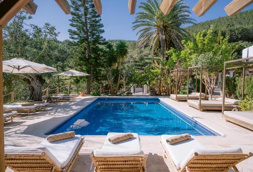 Superior Room with Terrace, Valley Club Ibiza   Boutique Agroturismo