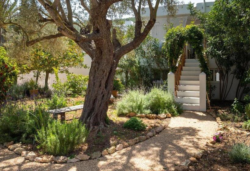 اتاق خانوادگی, Valley Club Ibiza   Boutique Agroturismo