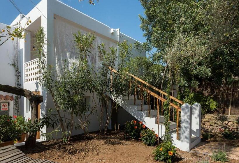 اتاق خانوادگی, Valley Club Ibiza   Boutique Agroturismo