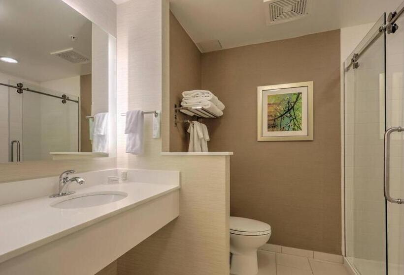 Президентский Люкс, Fairfield Inn & Suites By Marriott Greenville