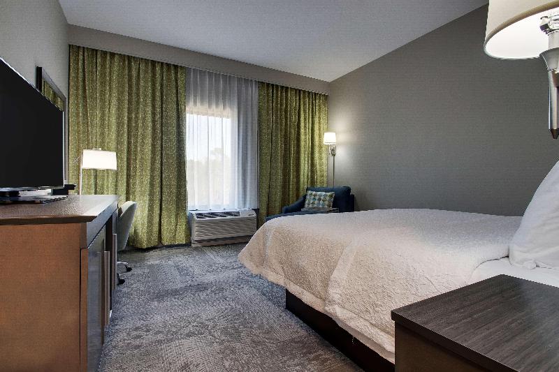 스탠다드 룸 킹사이즈 침대, Hampton Inn & Suites Knightdale Raleigh