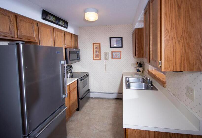 1 Yatak Odalı Daire, Okemo Mountain Lodging