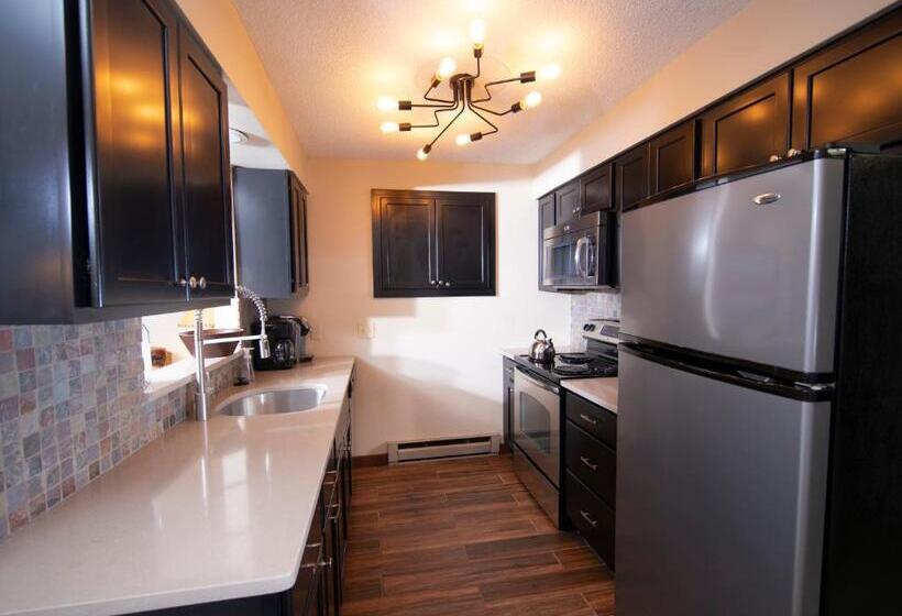 Апартаменты 2 Спальни, Okemo Mountain Lodging