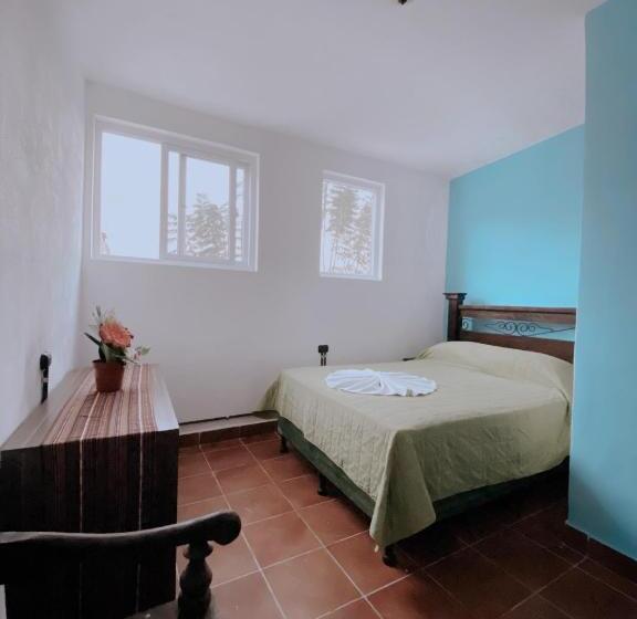اتاق استاندارد, Dreamboat Hostel