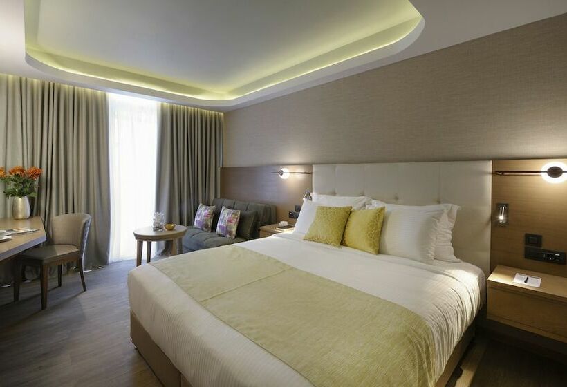 수피리어 룸 도시 전망, Wyndham Athens Residence