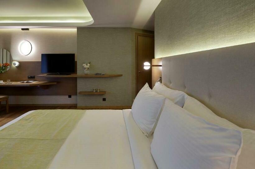 이그제큐티브 룸, Wyndham Athens Residence
