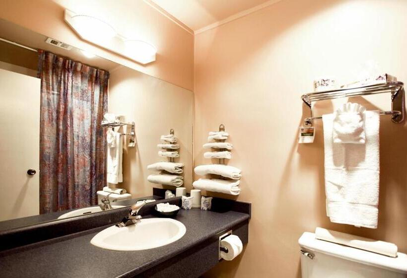 스탠다드 룸 바다 전망, Sidney Waterfront Inn & Suites