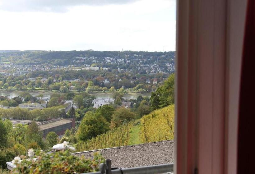 חדר סופריור, Jufa Hotel Königswinter/bonn