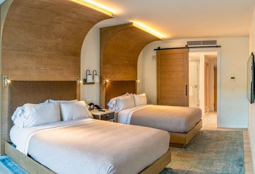 اتاق استاندارد با 2 تخت دوبل, Canopy By Hilton Dallas Uptown