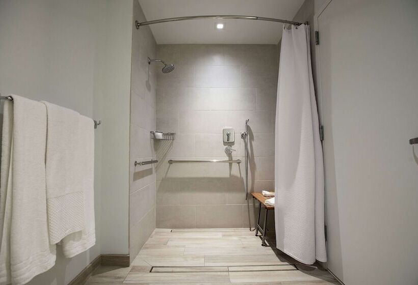 اتاق استاندارد با تخت دوبل, Canopy By Hilton Dallas Uptown