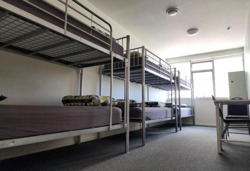 تختخواب در اتاق مشترک, Newton Lodge Auckland