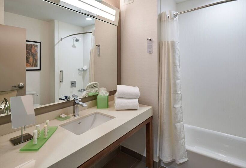 스탠다드 룸 더블 침대 2개, Courtyard By Marriott El Paso Downtown/convention Center