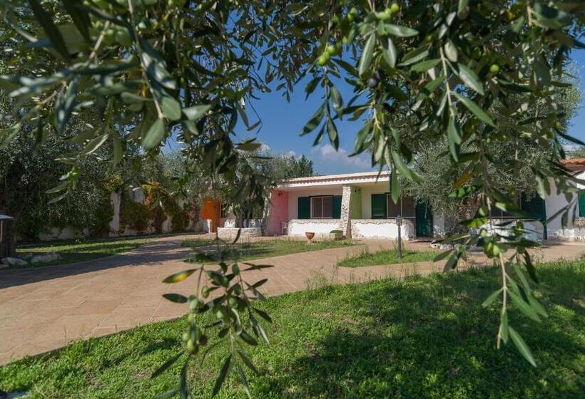 آپارتمان سوپریور 1 خوابه, Borghetto Tio Pepe