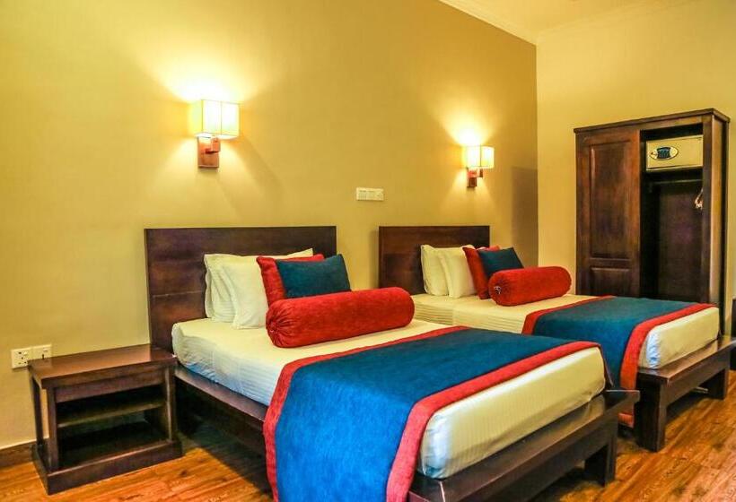 Quarto Superior, Oak Ray Ella Gap