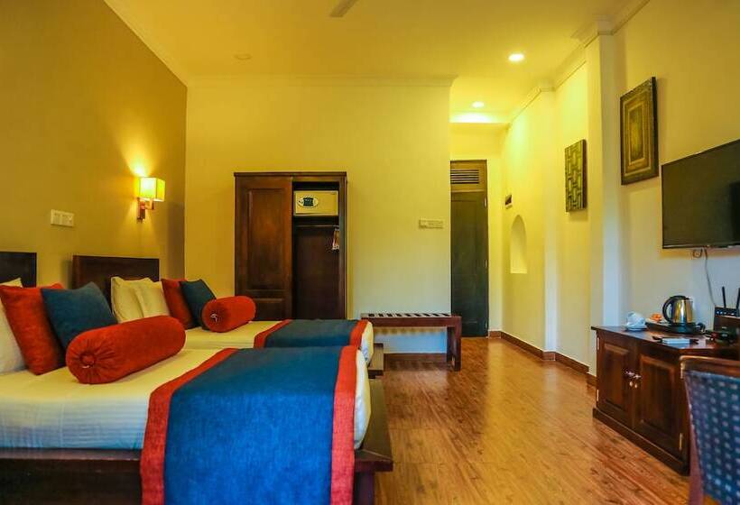 Quarto Superior, Oak Ray Ella Gap
