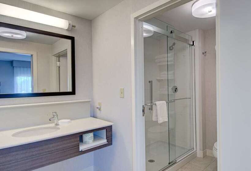 スタンダードスタジオ, Hampton Inn & Suites Atlanta Buckhead Place