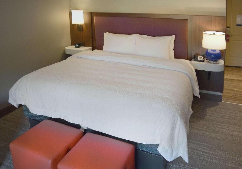 带大床的标准间, Hampton Inn & Suites Philadelphia/media