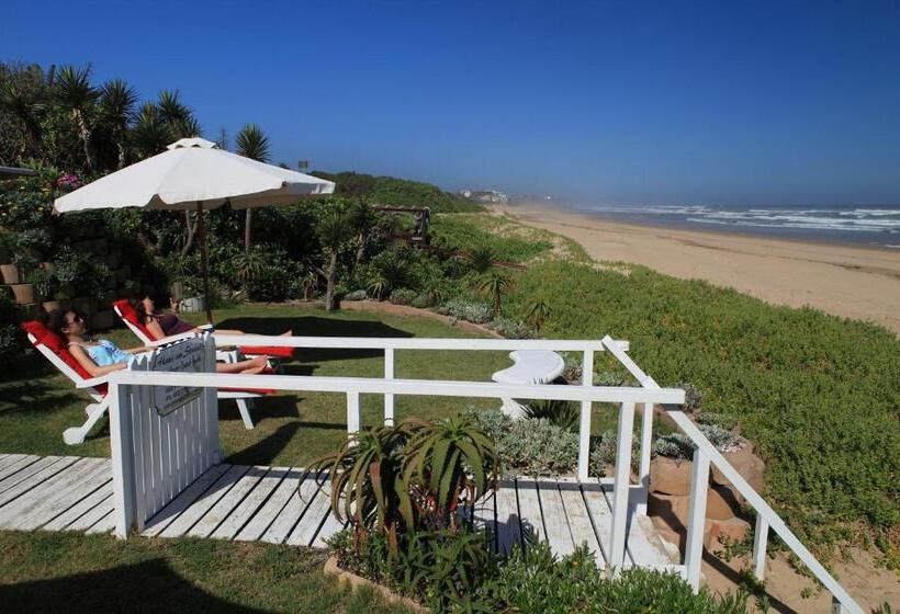 Апартаменты 1 Спальня Вид на Море, Haus Am Strand   On The Beach