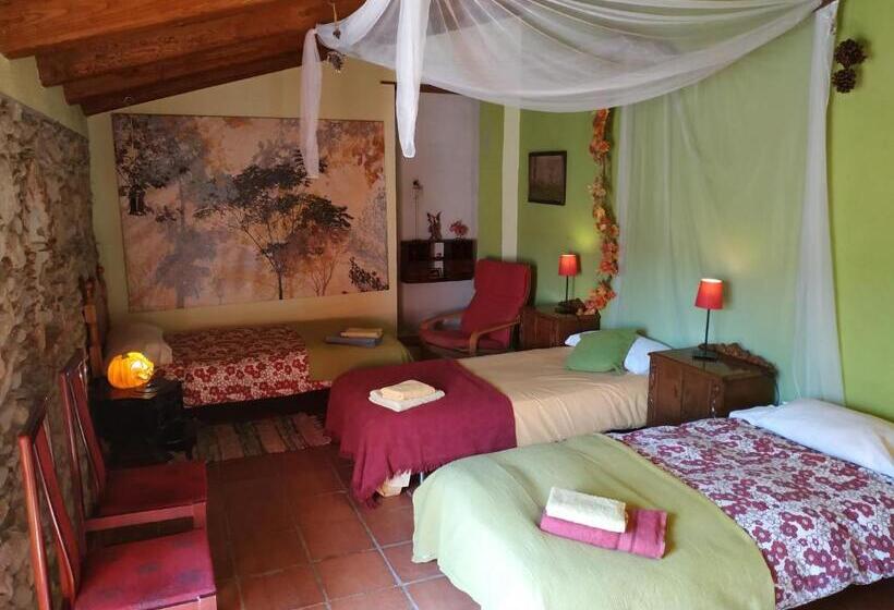 Quarto Triplo Estandar, Mas Can Puig De Fuirosos