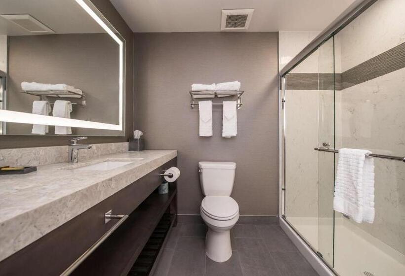 Люкс Кровать Кинг, Best Western Plus Temecula Wine Country Hotel & Suites