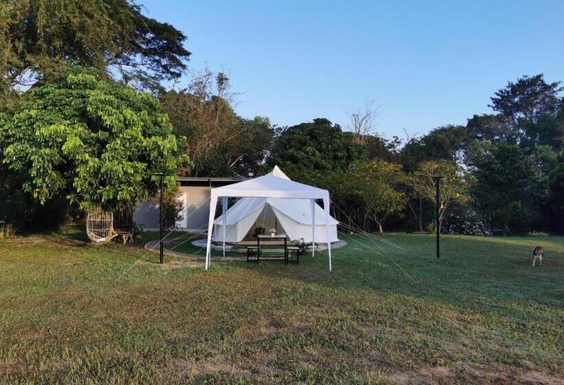 Standard Tent, Stayktion