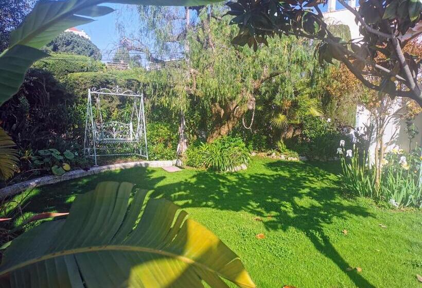 חדר דלוקס, Blue Dream Cannes Guest House