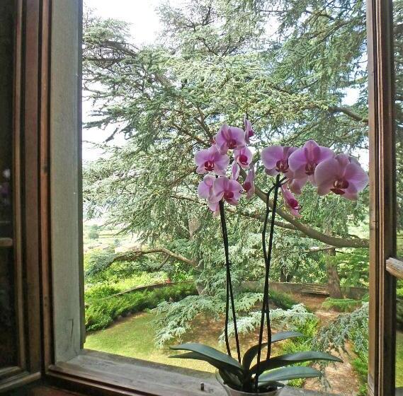 Студия Deluxe, Villa San Simone