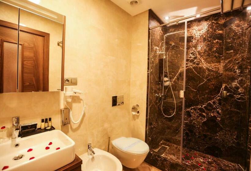 带阳台的行政套房, Suite Hotel Casa Diamond