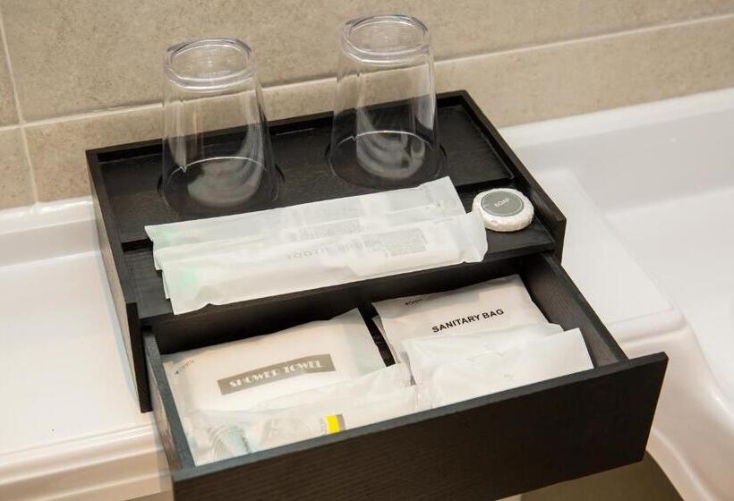 Quarto Deluxe, Dormy Inn Express Seoul Insadong