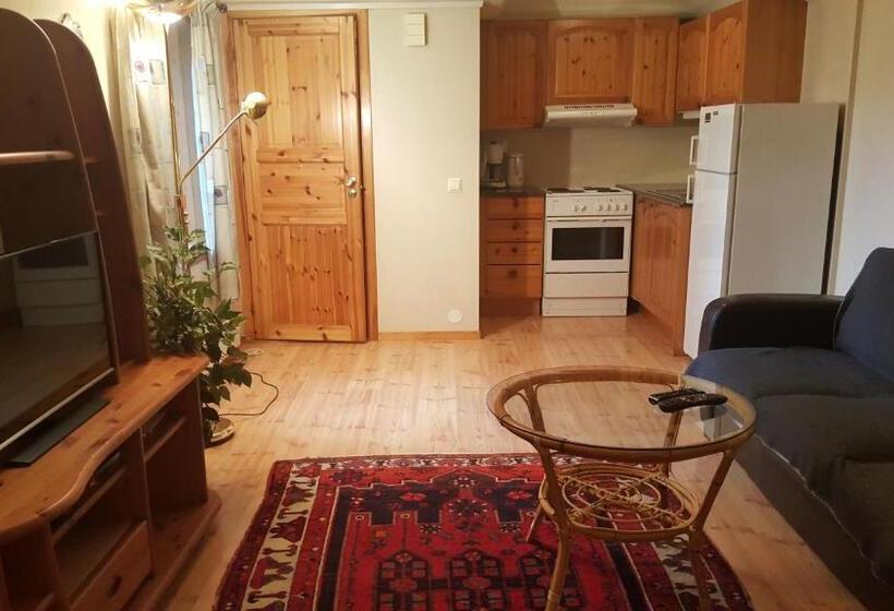 带1个卧室的公寓, Skeisvang Gjestgiveri