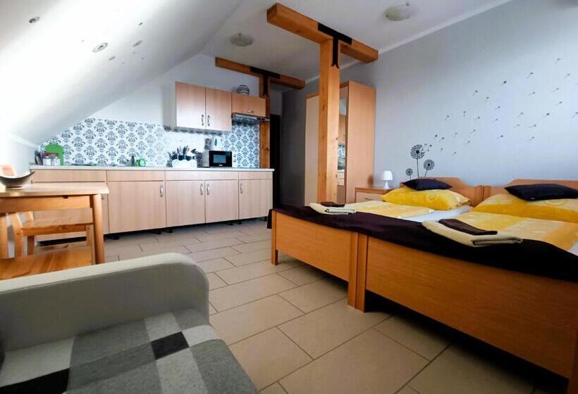اتاق استاندارد, Apartments Furman   Self Check In