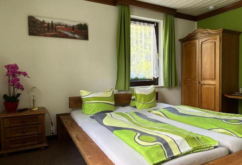 Номер Стандарт, Pension Bennelliebschanke