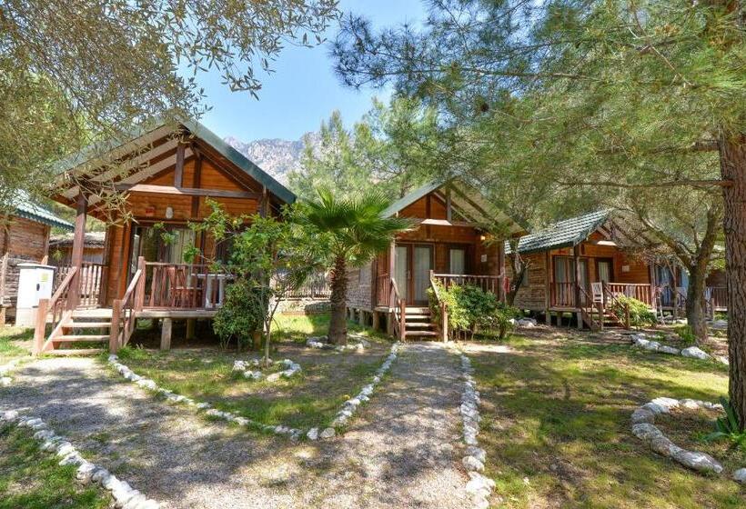 Номер Стандарт Вид на Сад, Sea Valley Lodge