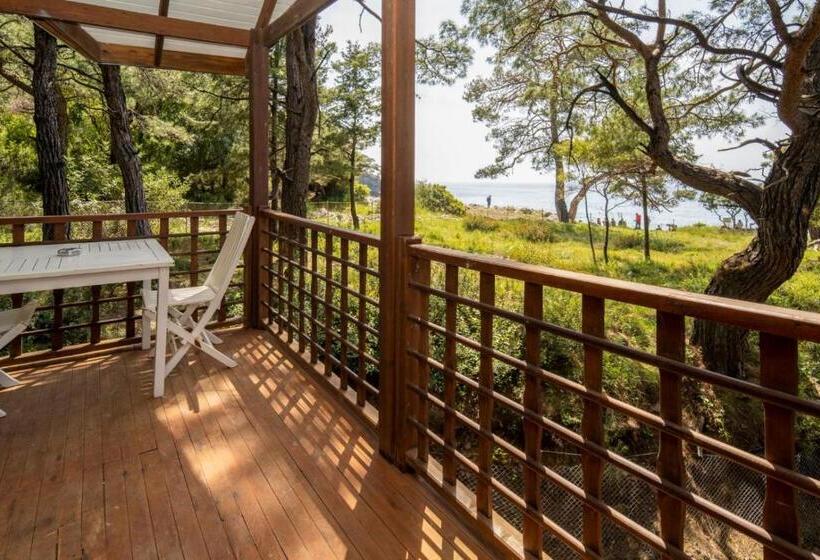 Номер Стандарт Вид на Море, Sea Valley Lodge