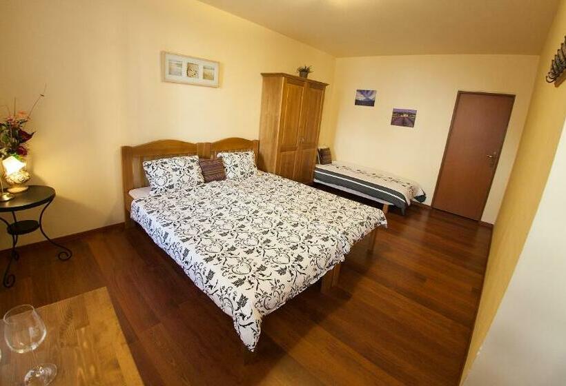 Номер Стандарт, Penzion Zatisi