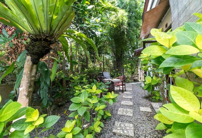 Номер Стандарт Вид на Сад, Tropical Bali
