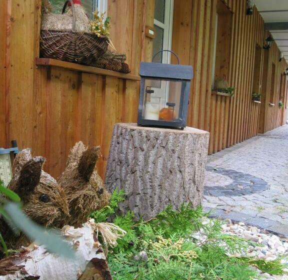Номер Стандарт, Urlaubspension 'hohes Rott' Und Apartmenthaus