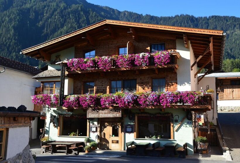 آپارتمان لوکس 1 خوابه, Resort Alt ötztal