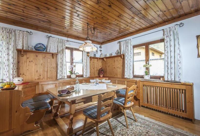 Студия Стандарт, Scheibenhof
