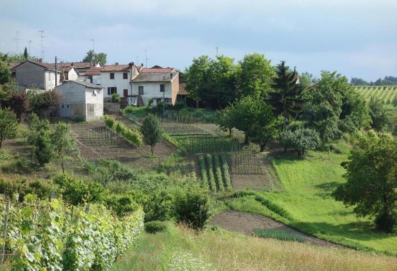 Номер Стандарт, Cascina Alberta
