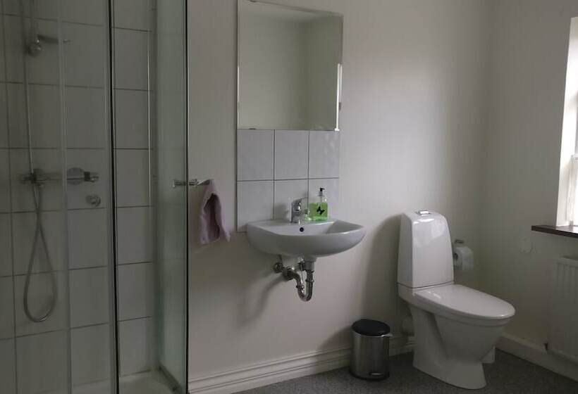 اتاق استاندارد سه تخته با سرویس بهداشتی مشترک, Birta Guesthouse