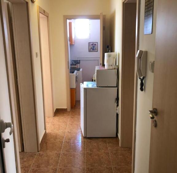 Апартаменты 3 Спальни, Borko Guest House