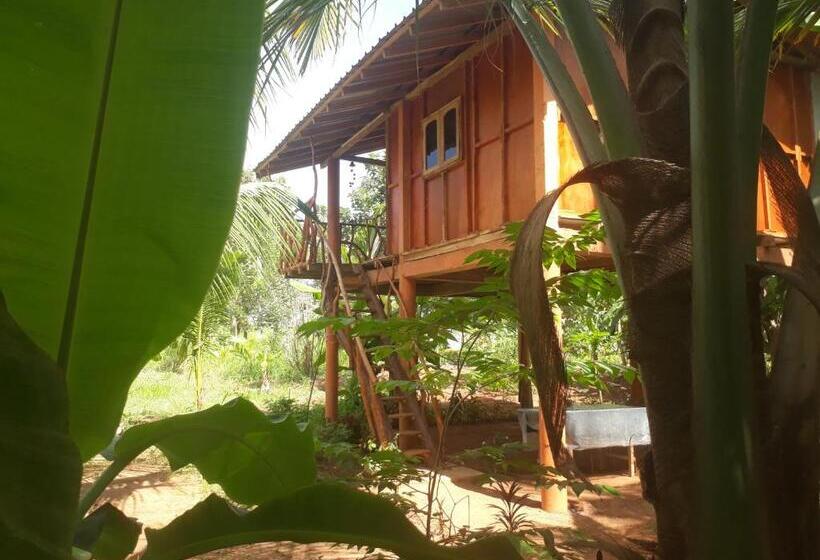 غرفة إقتصادية, Sigiri Aliya Tree House
